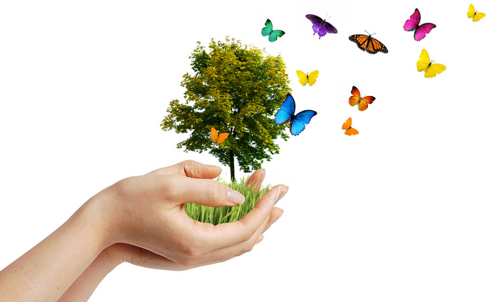 Descubre el poder de los aromas para que tu hogar respire bienestar